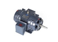 Marathon GT0464 256TTDBD6007 25HP 3600RPM 256JM Frame Drip Proof Motor | YarinInd