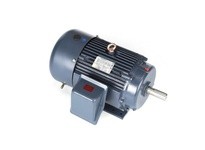 Marathon GT1020A 256TTFCD6076 10HP 1200RPM 256T frame totally enclosed fan cooled 3 phase 230/460 volt 60 hertz electric motorTh