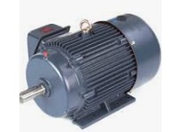 Marathon GT1021A Model# 254TTFCD6001 HP: 15 RPM: 3600 Enclosure: TEFC Frame: 254T Phase: 3 Frequency: 60 Voltage: 230/460