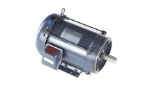 Marathon GT1415A 213TTFBD6007 7.5HP 3600RPM 213TC Frame | YarinInd