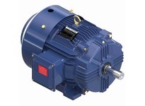 Marathon GT1825 256TTFCD6039 20 1800 TEFC 256T 3/60/200 | YarinInd