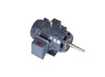 Marathon GT2459 254TTDBD6037 15HP 1800RPM 254JP frame drip proof 3 phase 230/460 volt 60 hertz electric motorThis model has 15 h