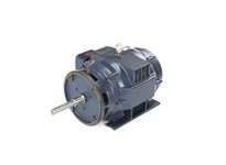 Marathon GT2463 286TTDBD6085 20HP 1200RPM 286JPV frame drip proof 3 phase 230/460 volt 60 hertz electric motorThis model has 20 