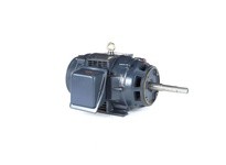 Marathon GT2564 256TTDBD6013 25HP 3600RPM 256JP Frame | YarinInd