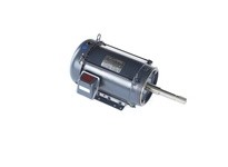 Marathon GT3418A 215TTFBD6012 10HP 3600RPM 215JP Frame | YarinInd