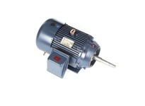 Marathon GT3421A 254TTFCD6012 15HP 3600RPM 254JP Frame | YarinInd