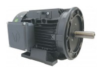 TECHTOP GX3-AL-TF-145TC-4-B-D-2 2HP 1800RPM 145TC 208-230/460V NEMA Premium