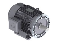 Techtop GX3-AL-TF-184TC-4-B-D-5 5 HP 1800RPM 184TC 3 PH 230/460 V Aluminum Electric Motor