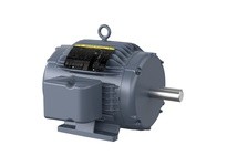 Baldor HBAO3774T 10 AOHP, 1755RPM, 3PH, 60HZ, 215T | YarinInd