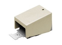 Hubbell Wiring HBL2410CIV Raceway Large Entrance End Fitting | Industrial Supplies