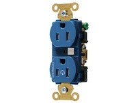 Hubbell Wiring HBL5262C1BLTR 1/2 CONTROLLED IND 15A 125V TR DUP BL | Industrial Supplies