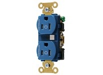 Hubbell Wiring HBL5262C2BLTR 2/2 Controlled Industrial 15A 125V TR Duplex | Hubbell Supplies