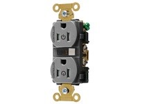 Hubbell Wiring HBL5262C2GRYTR 2/2 CONTROLLED IND 15A 125V TR DUP GY
