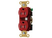 Hubbell Wiring HBL5262C2RTR 2/2 CONTROLLED IND 15A 125V TR DUP R | Industrial Supplies