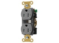 Hubbell Wiring HBL5262GYTR DUP RCPT IND TR 15A/125V 5-15R GY