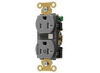 Hubbell Wiring HBL5362C1GRYTR 1/2 Controlled IND 20A 125V TR DUP GY | Industrial Supplies