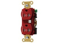 Hubbell Wiring HBL5362C2RTR 2/2 CONTROLLED IND 20A 125V TR DUP R | Industrial Supplies