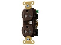 Hubbell Wiring HBL5362C2TR 2/2 CONTROLLED IND 20A 125V TR DUP BR | Industrial Supplies