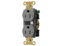 Hubbell Wiring HBL5362GYTR DUP RCPT IND TR 20A/125V 5-20R GY