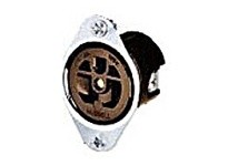 Hubbell Wiring HBL5656 FLG-RCPT 15A 250V 6-15R BR | YarinInd