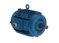 WEG 01012ET3EPM254/6Y-W2 MOTOR 10HP 6P 256TZ WFF2 | High-Quality Industrial Motor