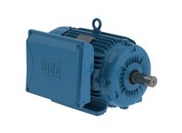 WEG 01018ES1E215T-W22 10HP 1800 1 60 208-230/460V | YarinInd