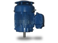 Teco-Westinghouse HBV0256P AEUH8BDP Max-E2/841 Vertical P BASE HP: 25 RPM: 1200 Frame: 324HP