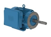 WEG 01036ES1E215JP-W22 10HP 3600 1 60 208-230/460V