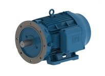 WEG 01136ET3Y160MFF-W22 11kW 3600 3 60/50 460V