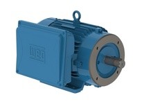 WEG 01218ES1EID215TC-W22 12.5HP 1800 1 60 208-230/460