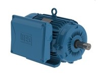 WEG 01236ES1C215T-W22 12.5HP 3600 1 60 208-230 | High-Performance Motor