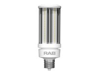 RAB HID-50-EX39-850-BYP-PT-ECO HID REPLACEMENTS 7500 LUMENS HID 50W BASE EX39 80CRI 5000K 80CRI 5000K BALLAST BYPASS POST TOP EC
