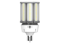RAB HIDFA-100S-EX39-8CCT-BYP/5SP HID REPLACEMENT FIELD ADJUSTABLE 9135/11600/14500 LUMENS 63/80/100W EX39 80CRI 3CCT BALLAST BYP
