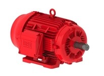 WEG 01515EP3OFP254T-W22 15HP 1500 3 50 308-415 FirePump-TE