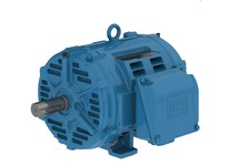 WEG 01518OT3E254TF2-W40 15HP 1800 208-230/460/380V ODP NEMA MG-1