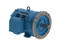 WEG 01518OT3H254TC-W40 MOTOR 15HP 4P 254TC WFA2 | YarinInd