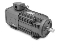 BALDOR IDCRPM21304 30HP 1800 460V FL2162 TEFC F3 | YarinInd