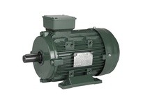 WWE IEC4-18-100 4HP 1800 RPM 230/460V 100L Frame Multi Mount Motor | Quality IEC Aluminum Frame