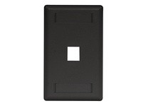 Hubbell Wiring IFP11BK PLATE WALLFLUSH1-G1PORTBK | High-Quality Wall Plate