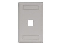 Hubbell Wiring IFP11OW Plate WallFlush 1-Gang 1-Port OW | Durable Solutions