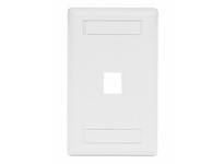 Hubbell Wiring IFP11W PLATE WALLFLUSH1-G1PORTWH