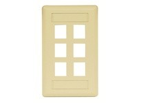 Hubbell Wiring IFP16EI PLATE WALLFLUSH1-G6PORTEI