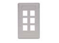 Hubbell Wiring IFP16LA PLATE WALLFLUSH1-G6PORTLA | High-Quality Industrial Supplies