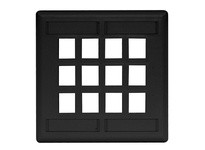 Hubbell Wiring IFP212BK PLATE WALL FLUSH 2-G 12PORT BK