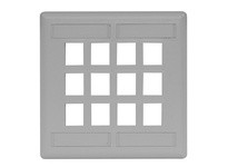 Hubbell Wiring IFP212GY PLATE WALL FLUSH 2-G 12PORT GY