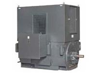 Toshiba J5007NLFLI-C OPEN ENCLOSURE WPII - 5000HP-1200RPM 4000v 500-1800 FRAME - HIGH EFFICIENCY