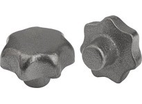 KIPP K0151.110 STAR GRIP D1=50 H=34 FORM:A GREY CAST IRON