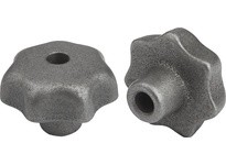 KIPP K0151.208 STAR GRIP D=8 D1=40 H=25 FORM:B GREY CAST IRON