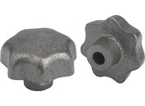 KIPP K0151.3CN STAR GRIP D=0312 D1=40 H=25 FORM:C GREY CAST IRON