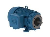 WEG 02018XT3E256TC-I 20HP 1800 60 208-230/460 XP - Nema Premium | High-Performance Motor